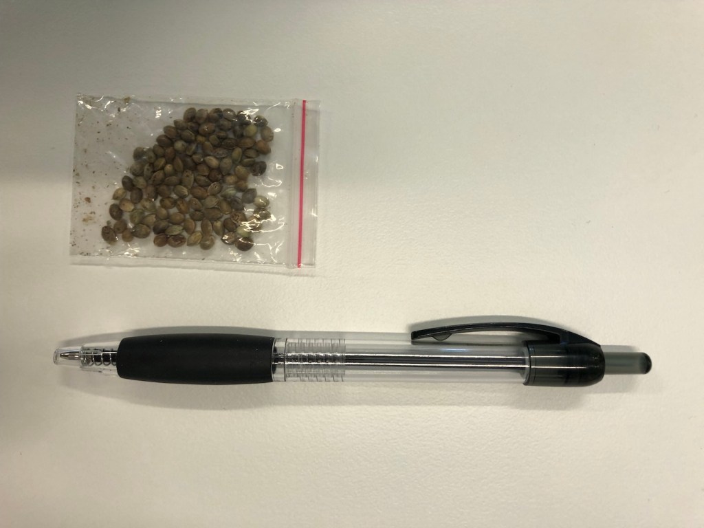 Seeds with pen