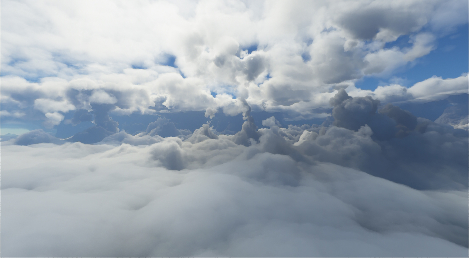 Microsoft Flight Simulator (35).jpg