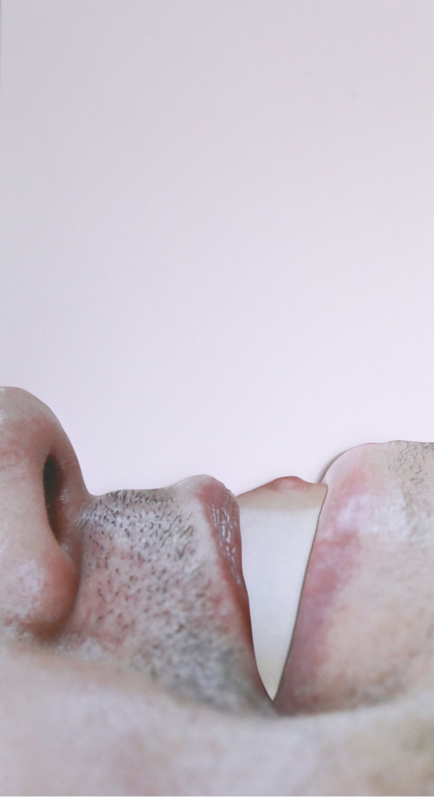 To titillate a mouthfull full Elke Desutter