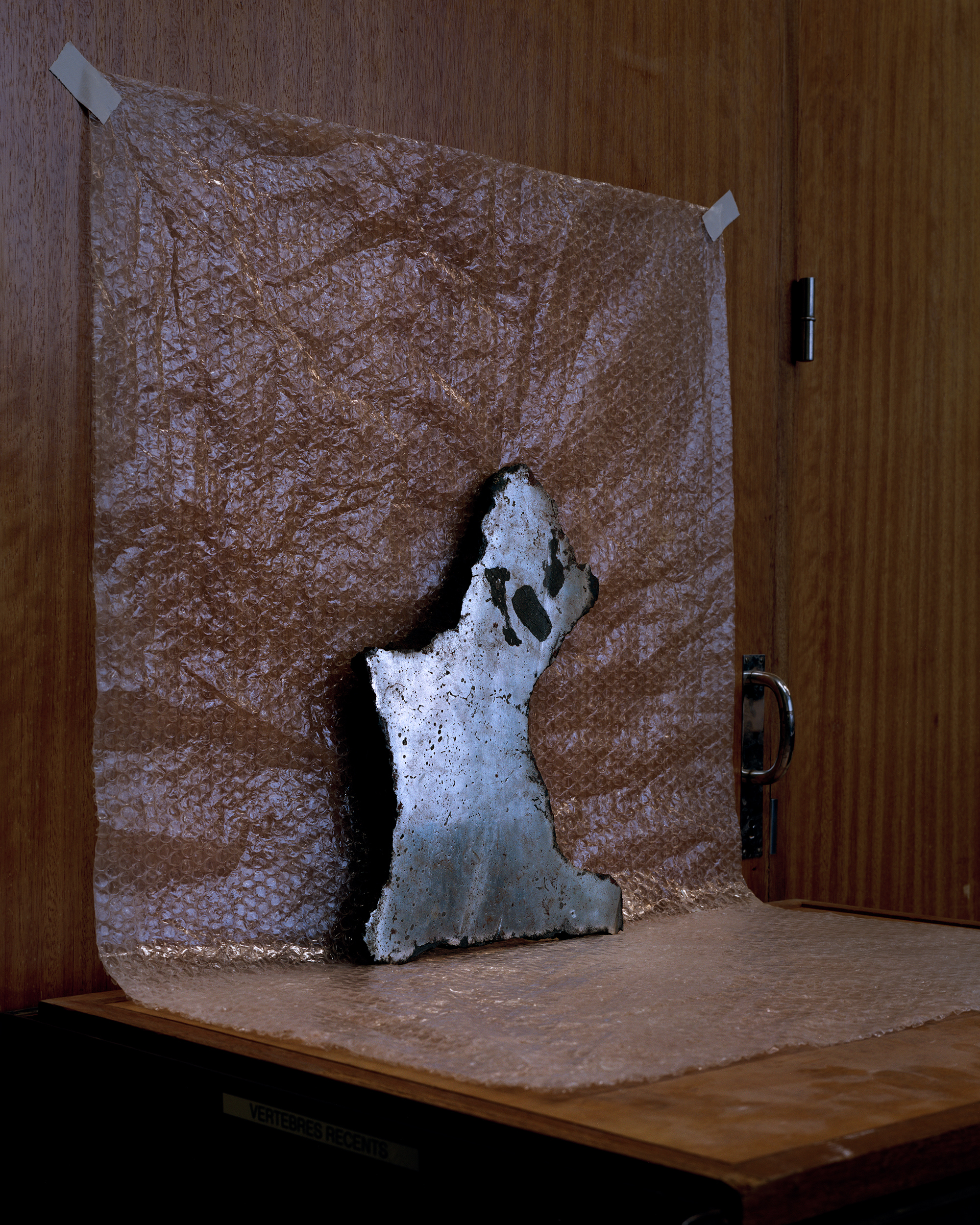 1565716800552-Earth-not-a-globe_VICE_003