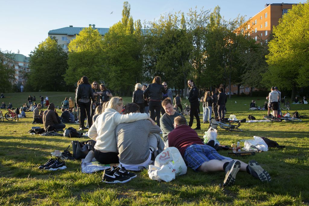 Groups of people sit in a park in Stockholm in May. Photo: Loulou D'Aki/Bloomberg via Getty Images