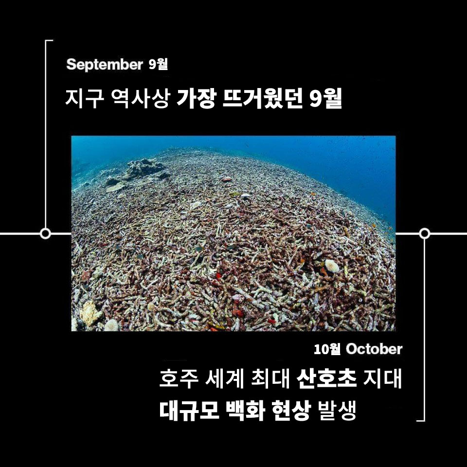환경 기후 자연 지구 온난화 기후 위기