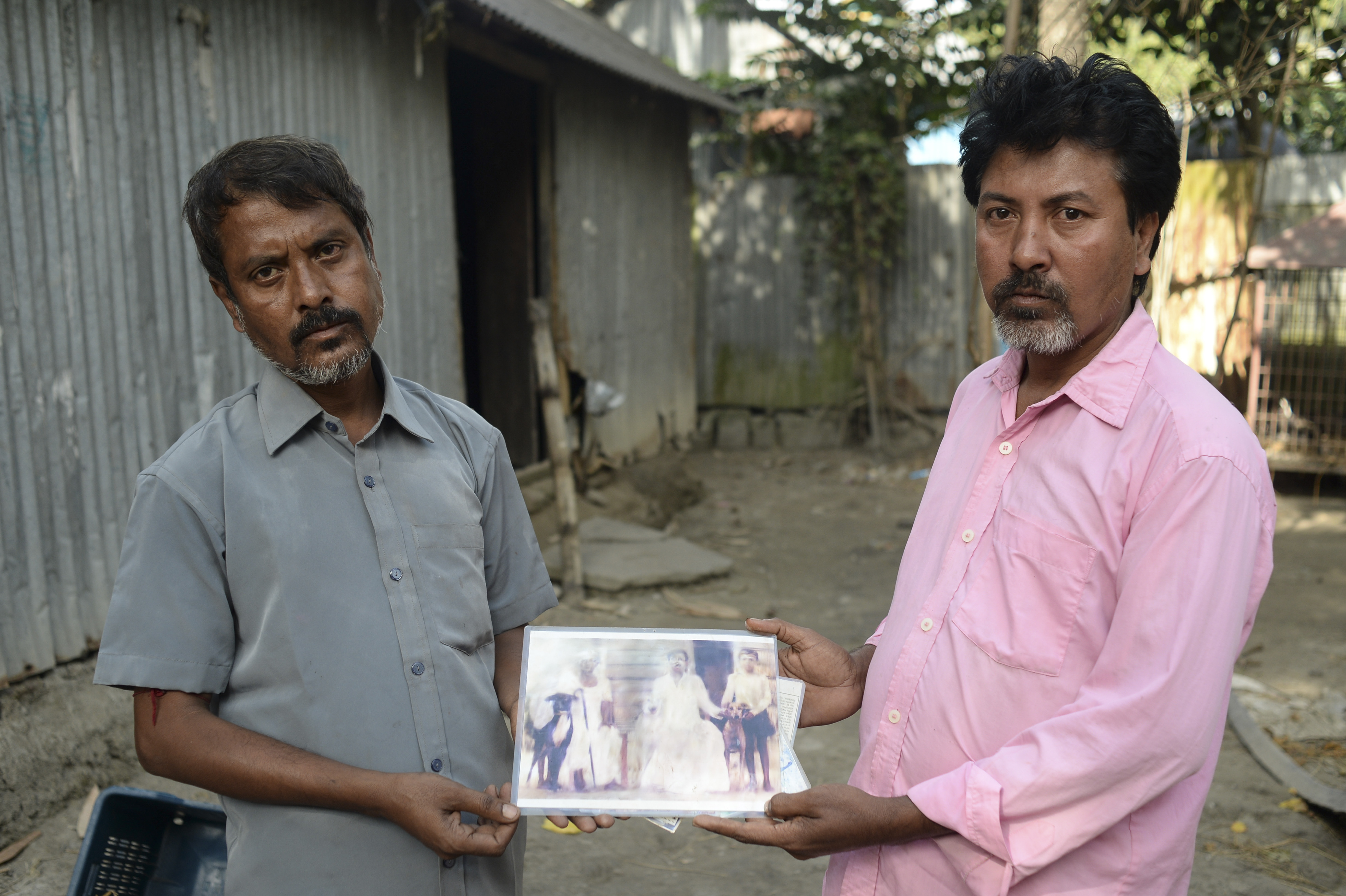 sarail hounds, brothers, bangladesh, rabidas, dog