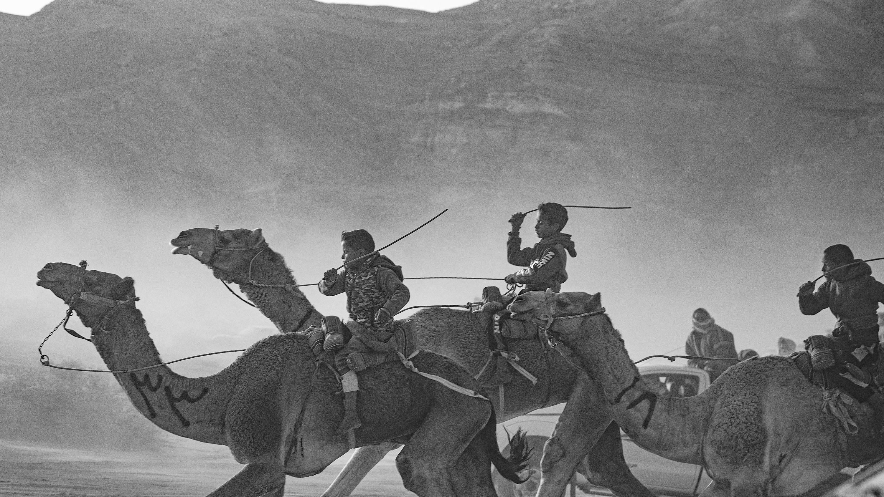 Wadi Zalaqa - Kids using whips to make the camels run faster.