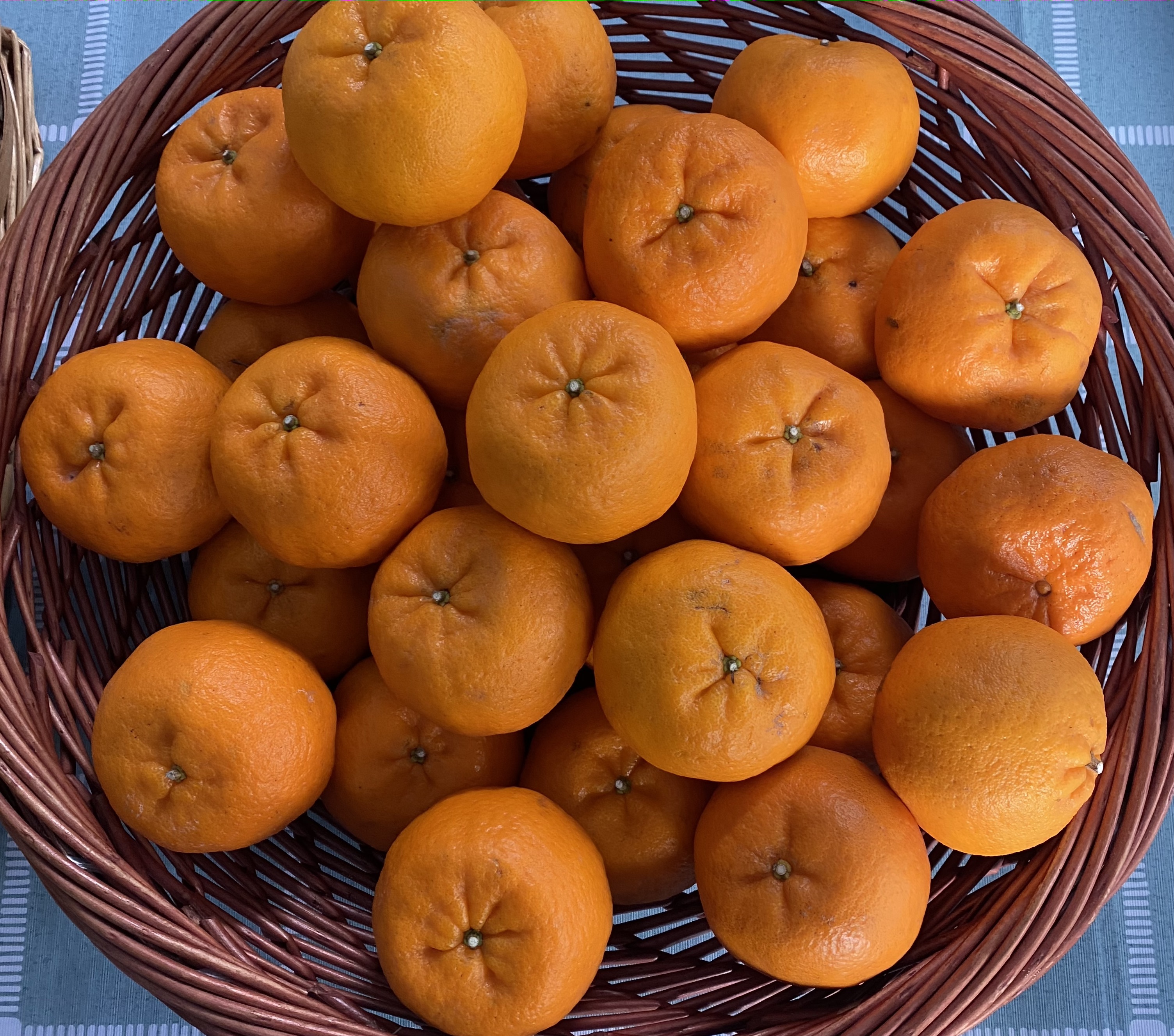 chinese new year, lunar new year, cny, traditions, taboo, superstition, mandarin orange, red, spring cleaning, cut hair