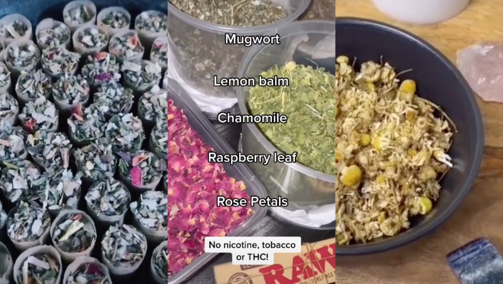 대마 대신 장미 꽃잎 말아 피우는 틱톡 크리에이터들