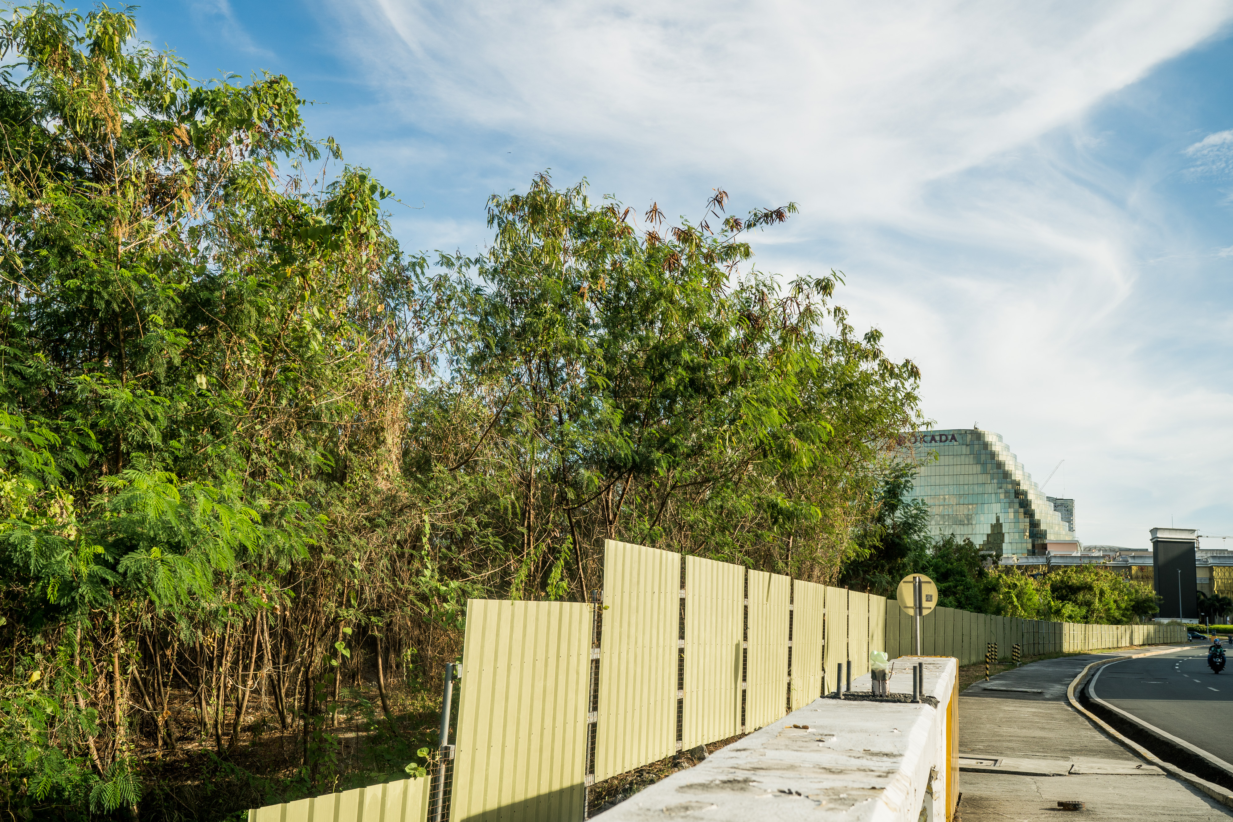 Manila vaxx rollout and cutting of trees 0001.jpg