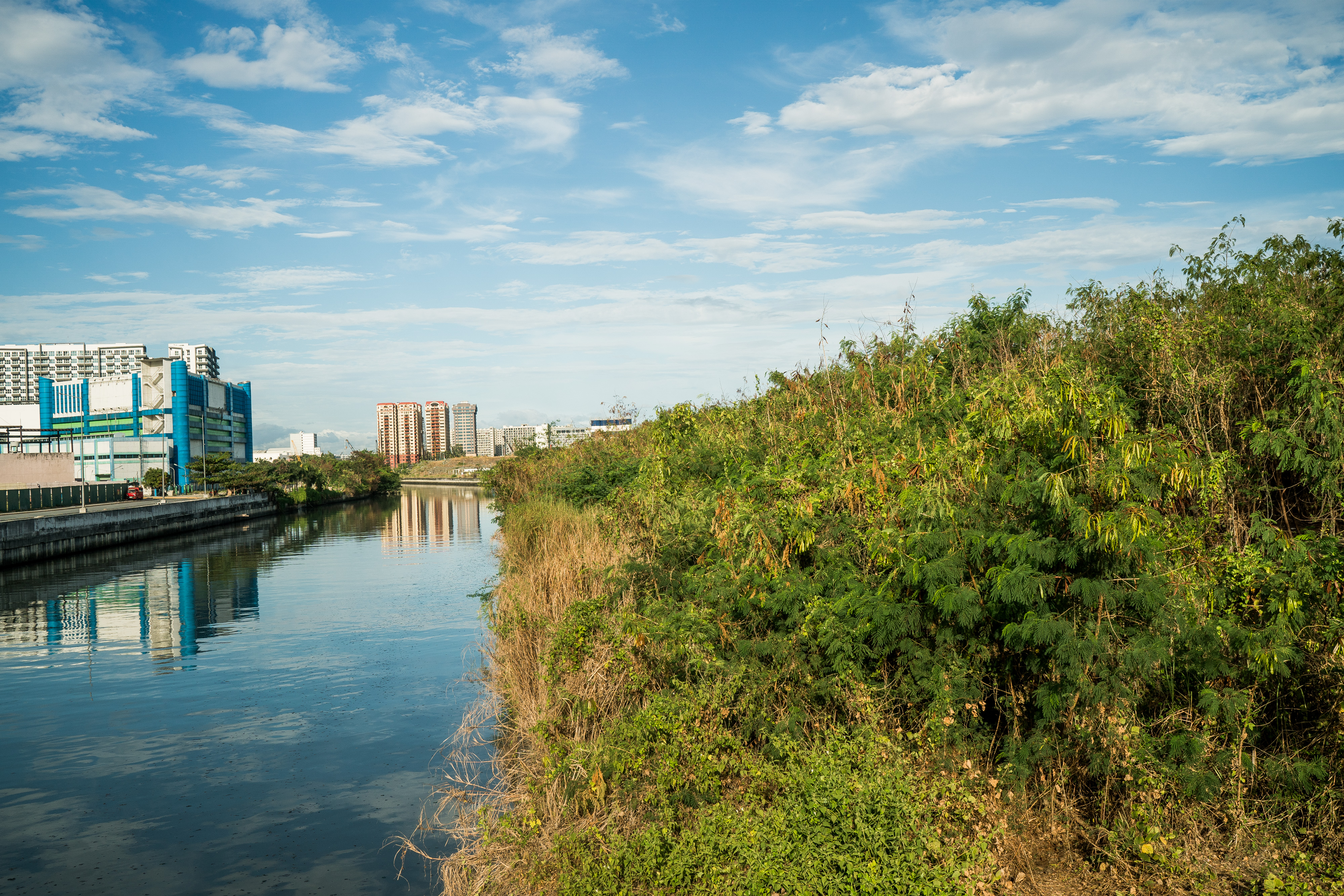 Manila vaxx rollout and cutting of trees 0004.jpg