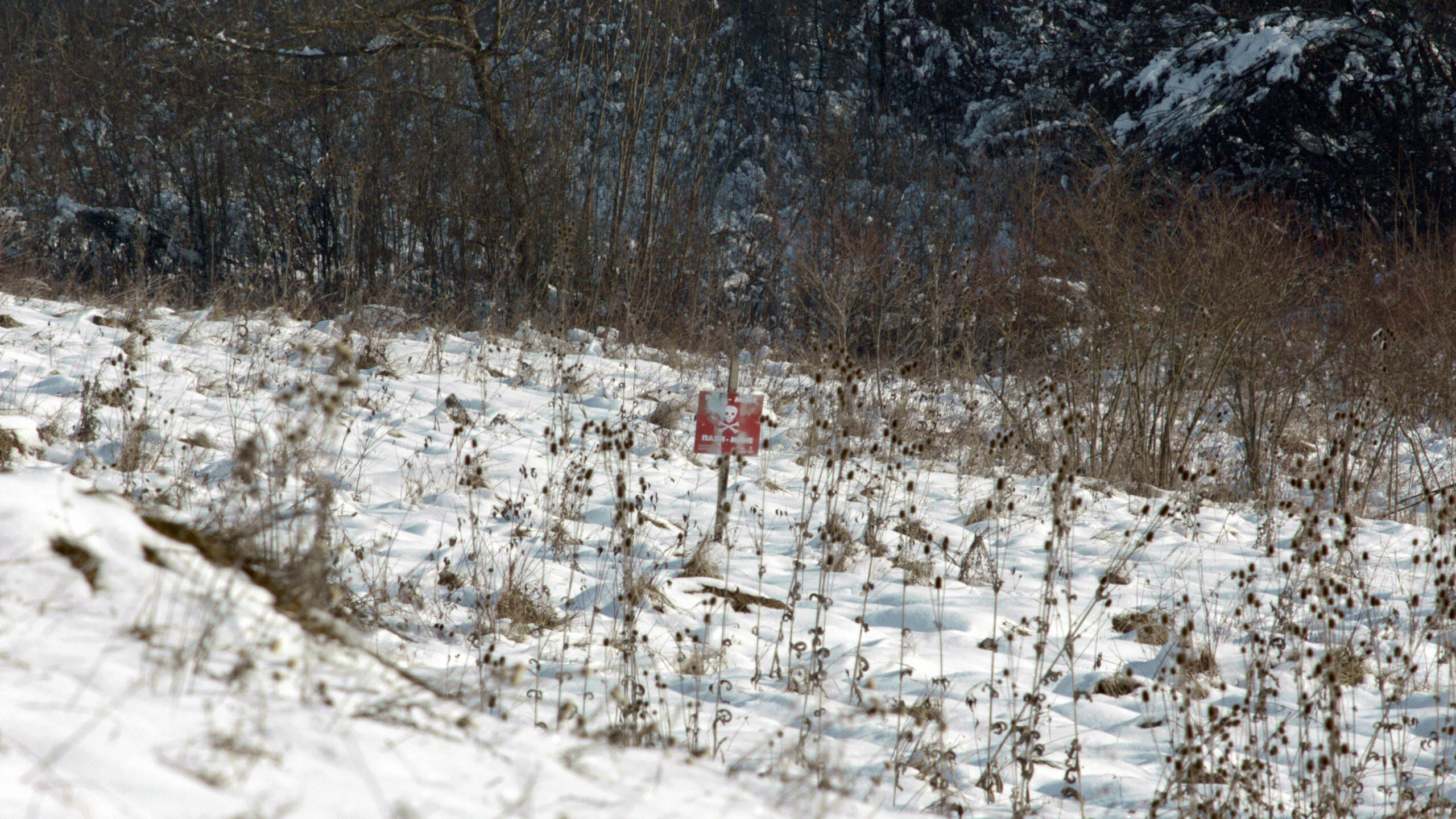 Minefields Bosnia&Herzegivina - Croatia border.jpeg