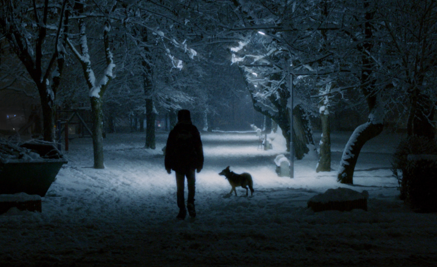 Hammoudi (14), Syria, and dog Bosnia-Herzegovina.jpg