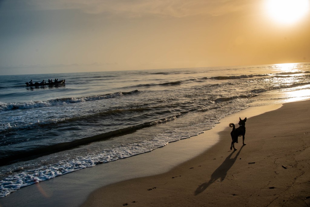 The coastline in Corozal, Honduras is the site of a proposed ZEDE that could displace Garifuna residents.