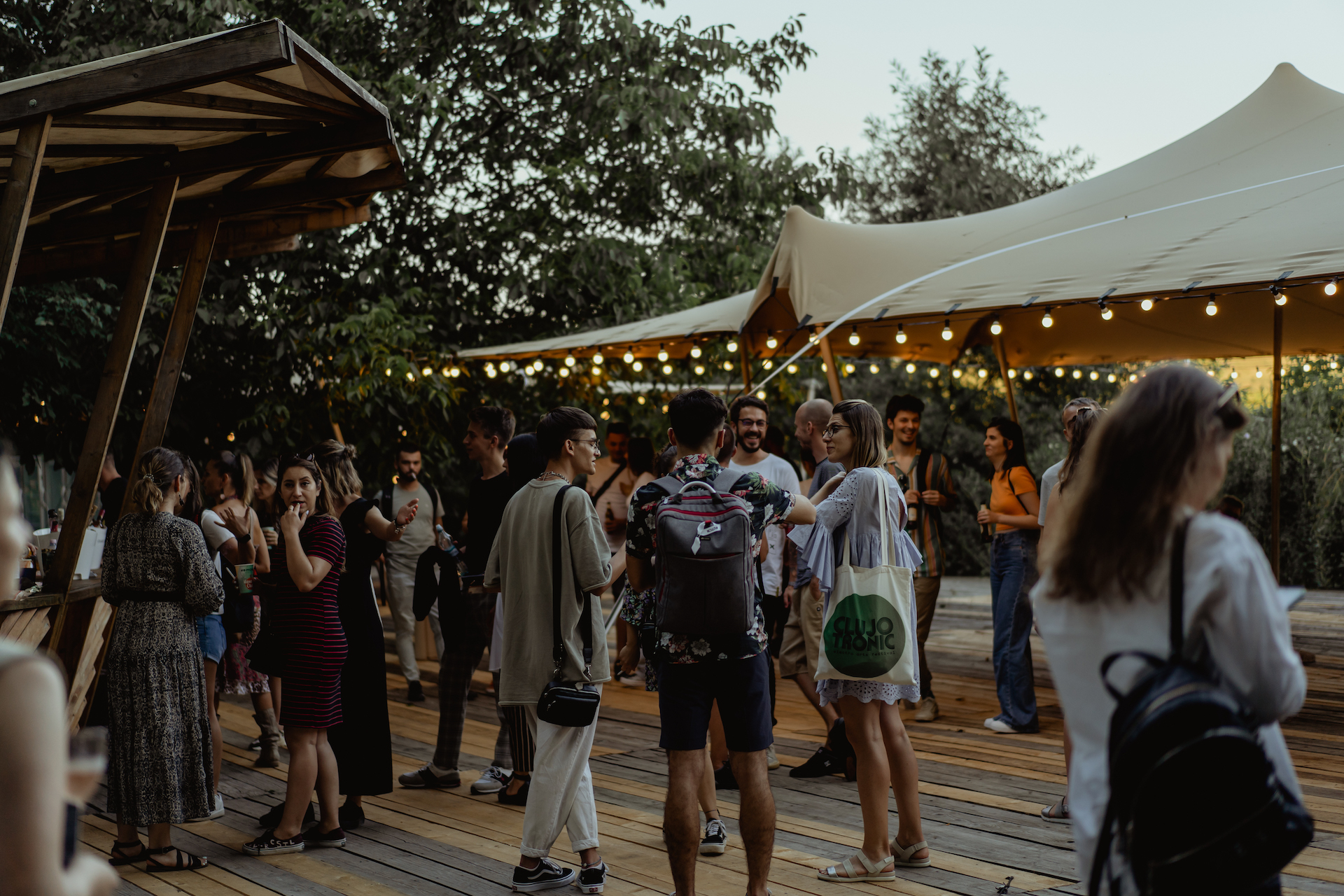 electric castle program