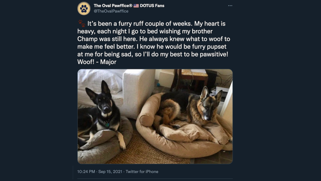 A screenshot of an absolutely bonechilling tweet, written in the voice of a dog.