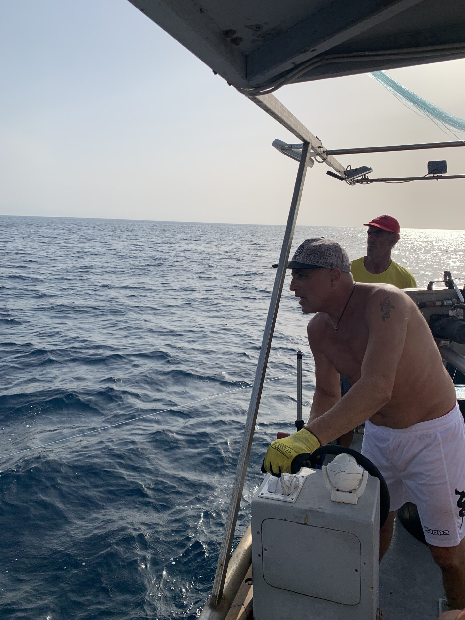 Tonno sostenibile alalunga.jpg