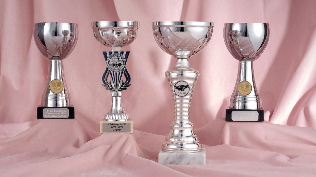Wedstrijdprijzen door Abel Minée