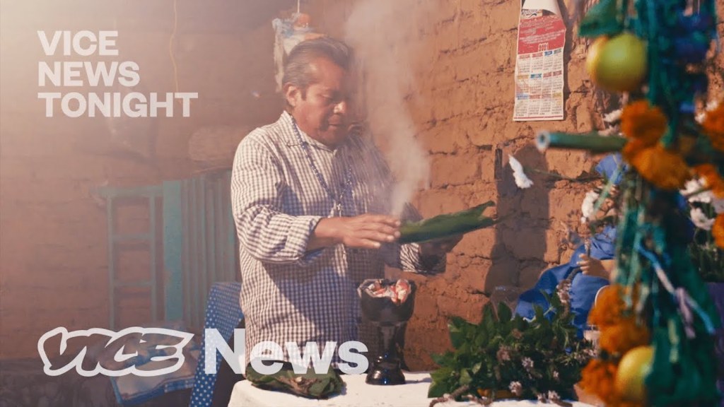 Preparation of psilocybin mushrooms in the Mazatec community.