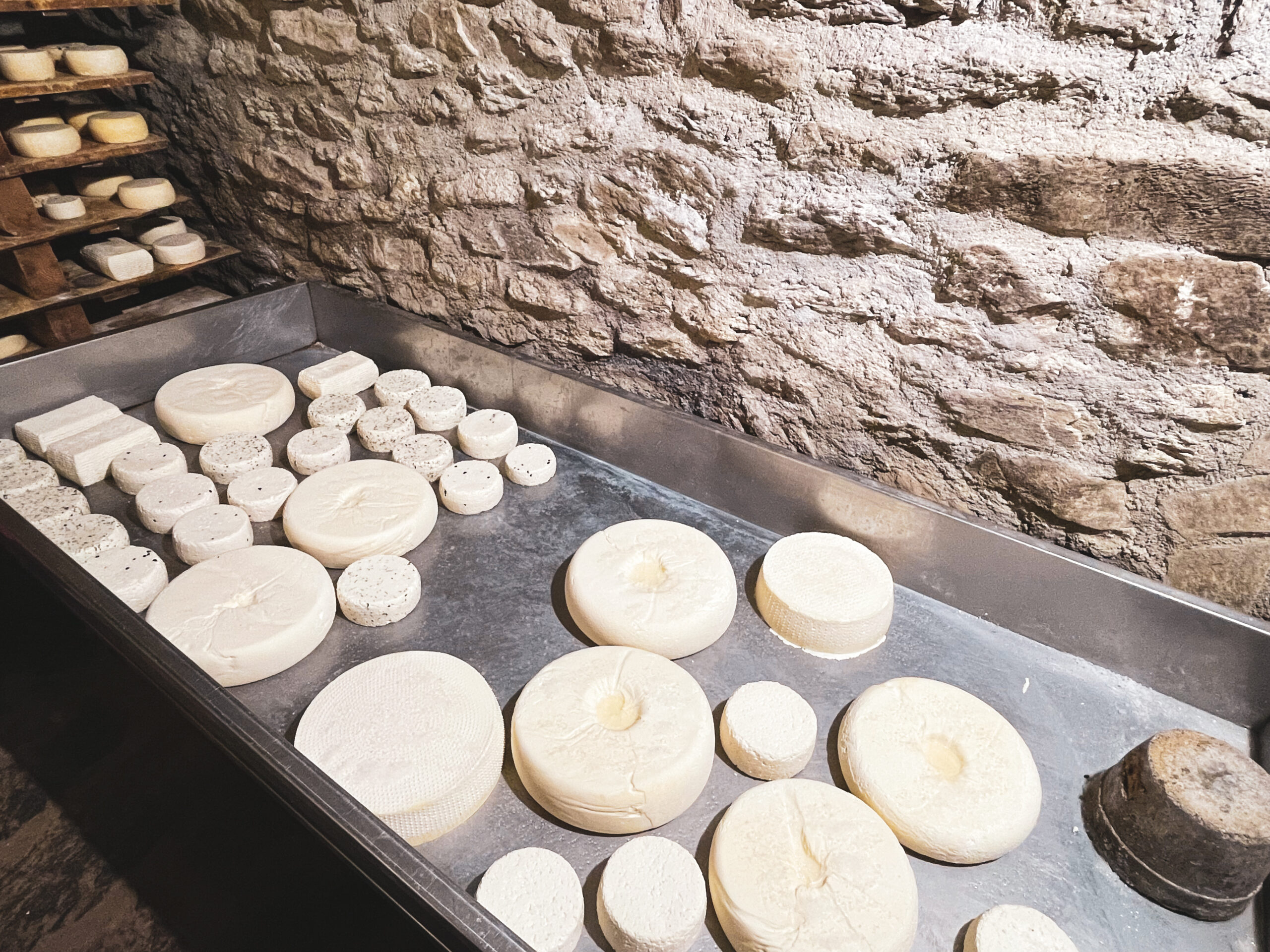 tome Alex Challier .jpg