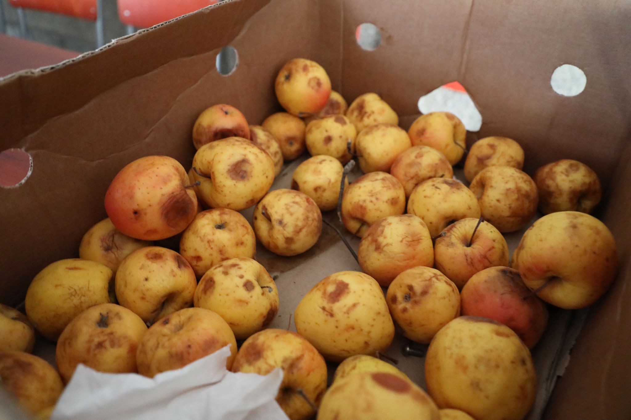 WhatsApp Image 2022-03-23 at 12.46.34.jpeg