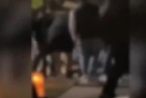 3123d5f1-30aa-4450-ae91-41953380f00e