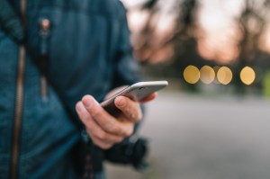 51064945453_f30612eff2_k