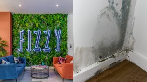 The lobby of Fizzy Living's East16 complex, and the mould on a flat in the building
