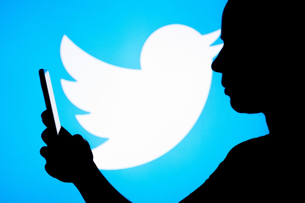 A person's silhouette against the Twitter logo, holding a phone up.