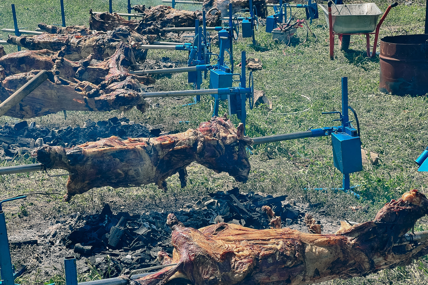 George Simion Ilinca Munteanu partidul AUR nunta Maciuca Valcea carne