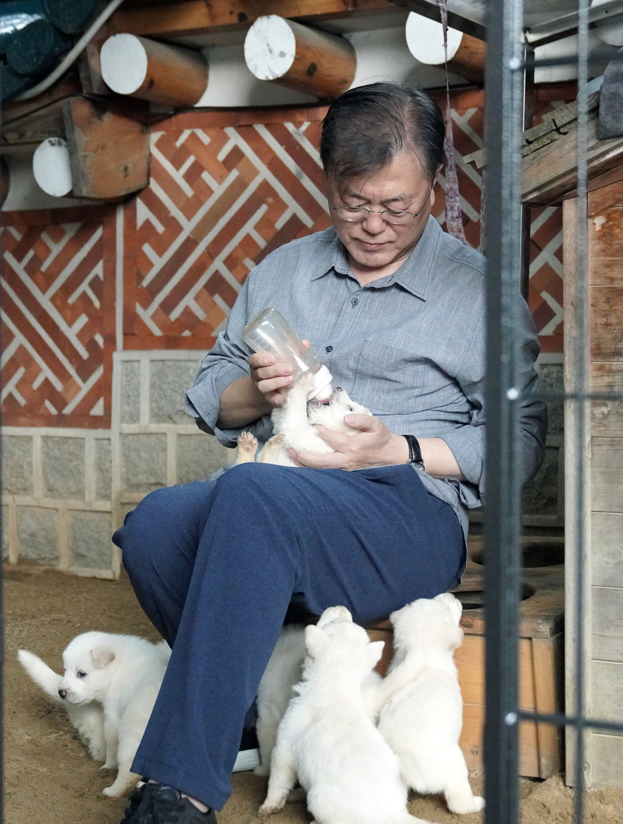 Since receiving two dogs as presents from North Korea, the former South Korean president Moon has been caring for them. Photo: Courtesy of Moon Jae-Il Facebook