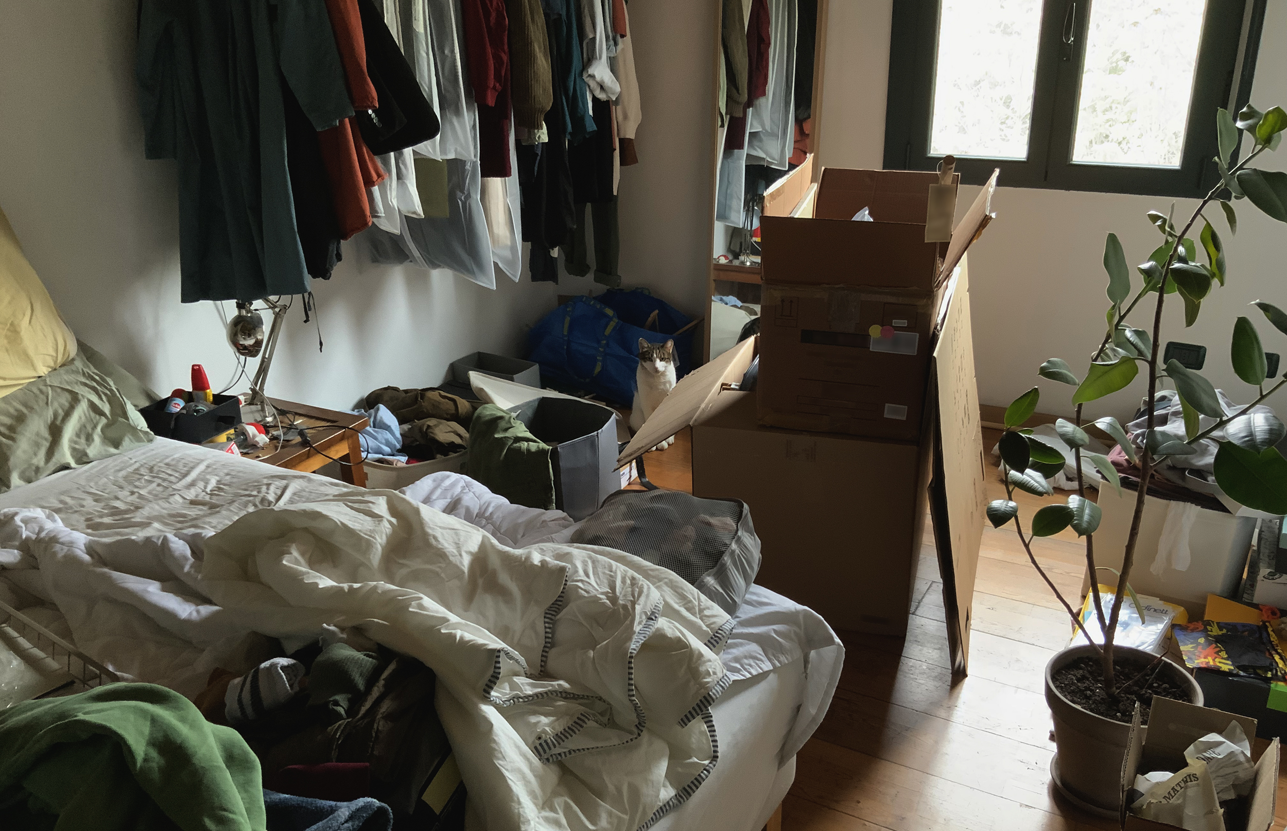 lezioni vita_trasloco_.jpg