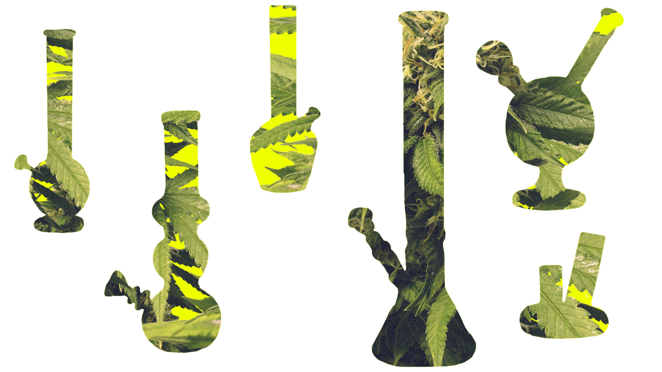 A collage of a variety of bongs overlayed with a macro shot of a weed plant