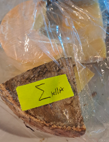 Screenshot 2023-03-03 at 12.46.23 PM.png