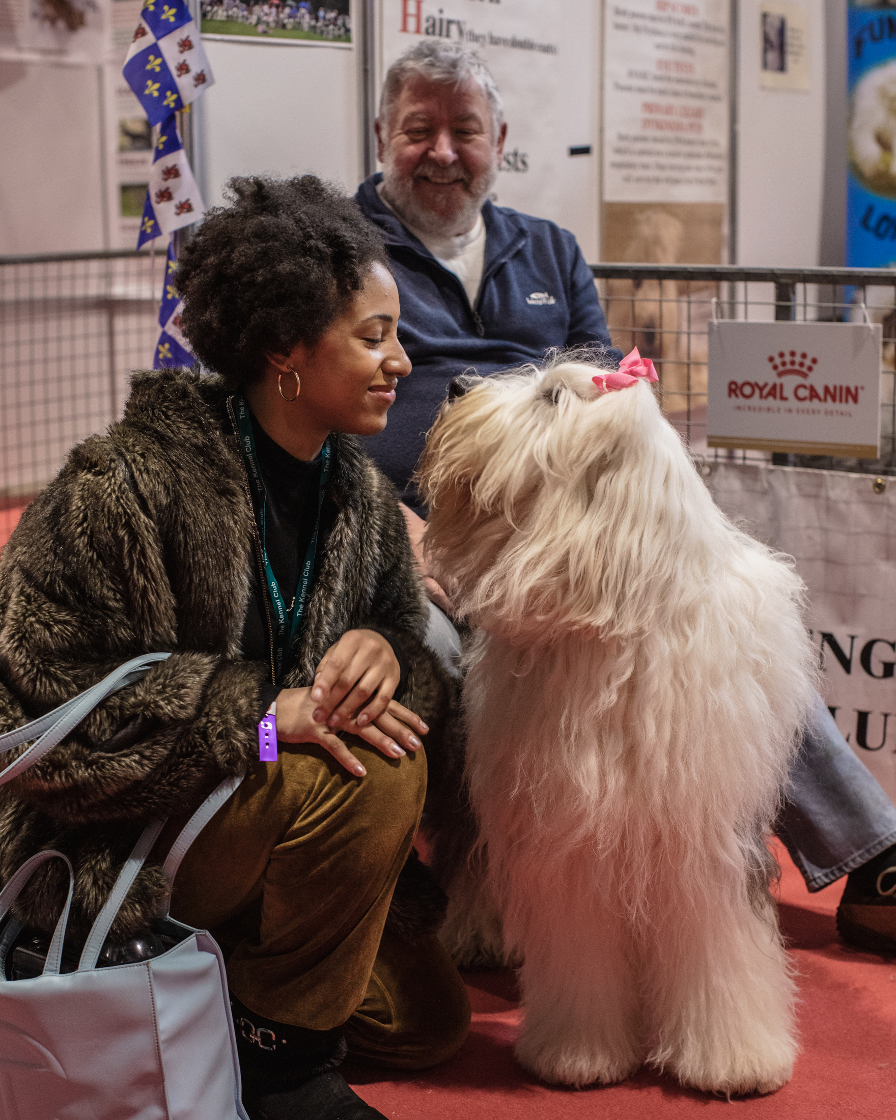 Jordan, the author of the article, crouches down and looks into the eyes of an English sheepdog.