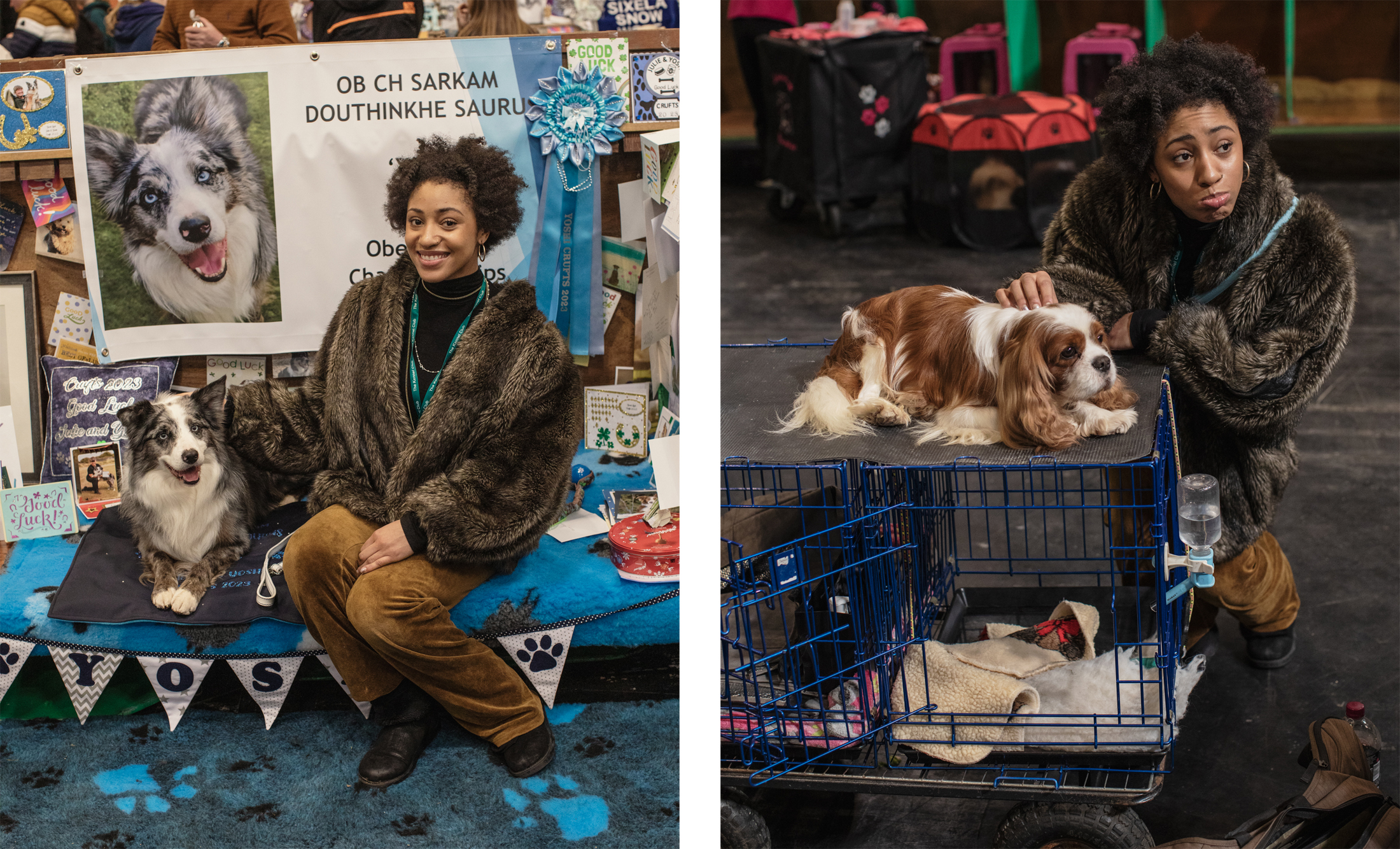 The left image shows an Australian shepherd dog sitting on a dog pillow with Jordan, behind them is a banner with Yoshi's face on it. The right image shows Jordan crouching down and petting a King Charles spaniel while making a pouty face.