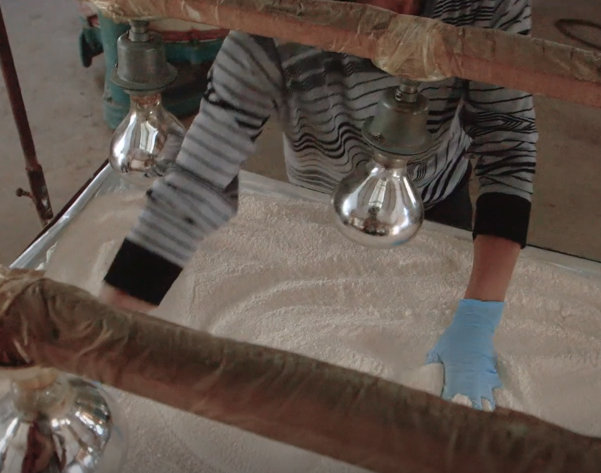 Screenshot 2023-08-11 at 1.55.19 pm.png