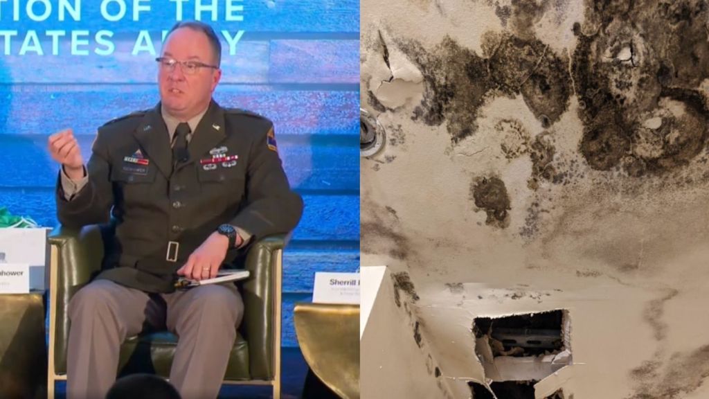 Your paragraph text (24)