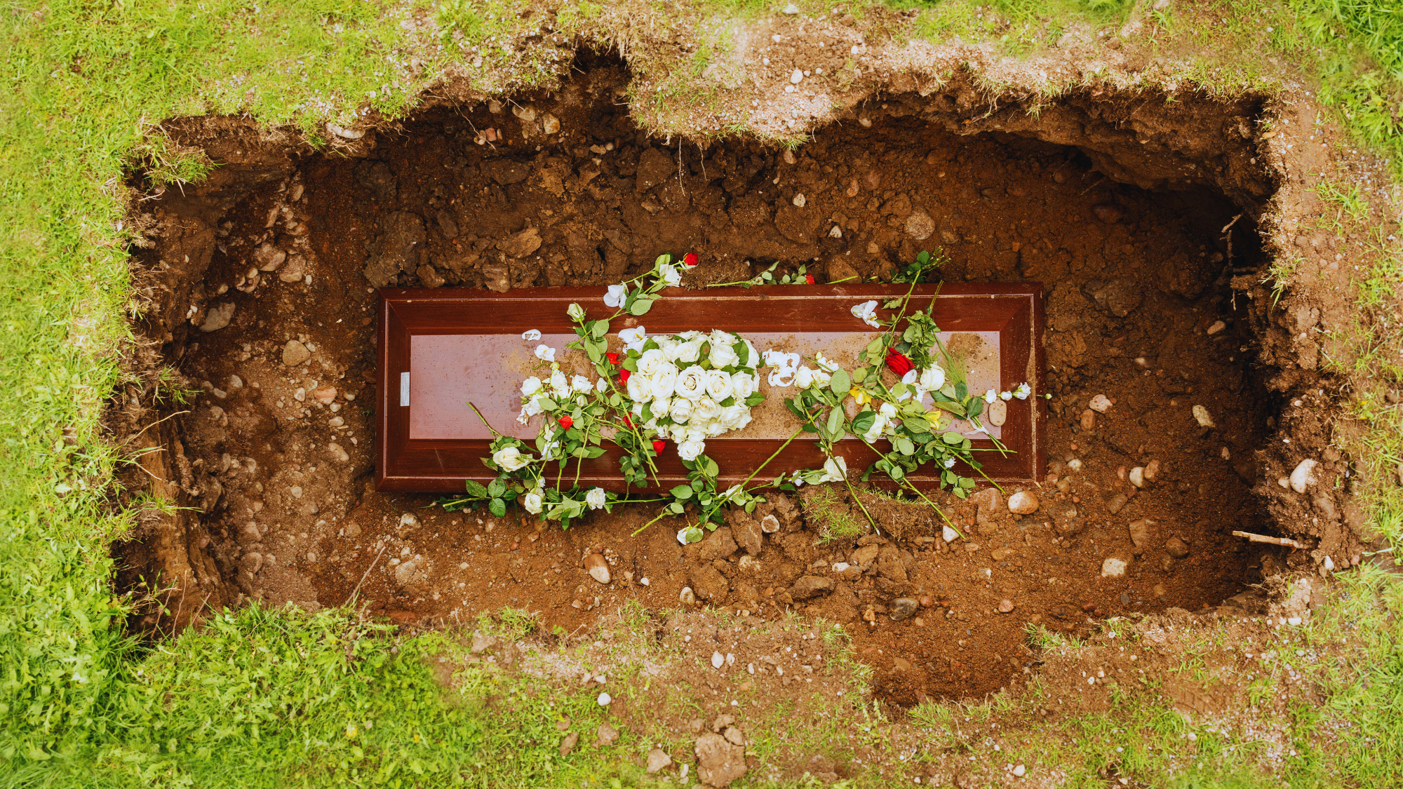 American Millennials (and Elder Gen Z) Are Dying Young