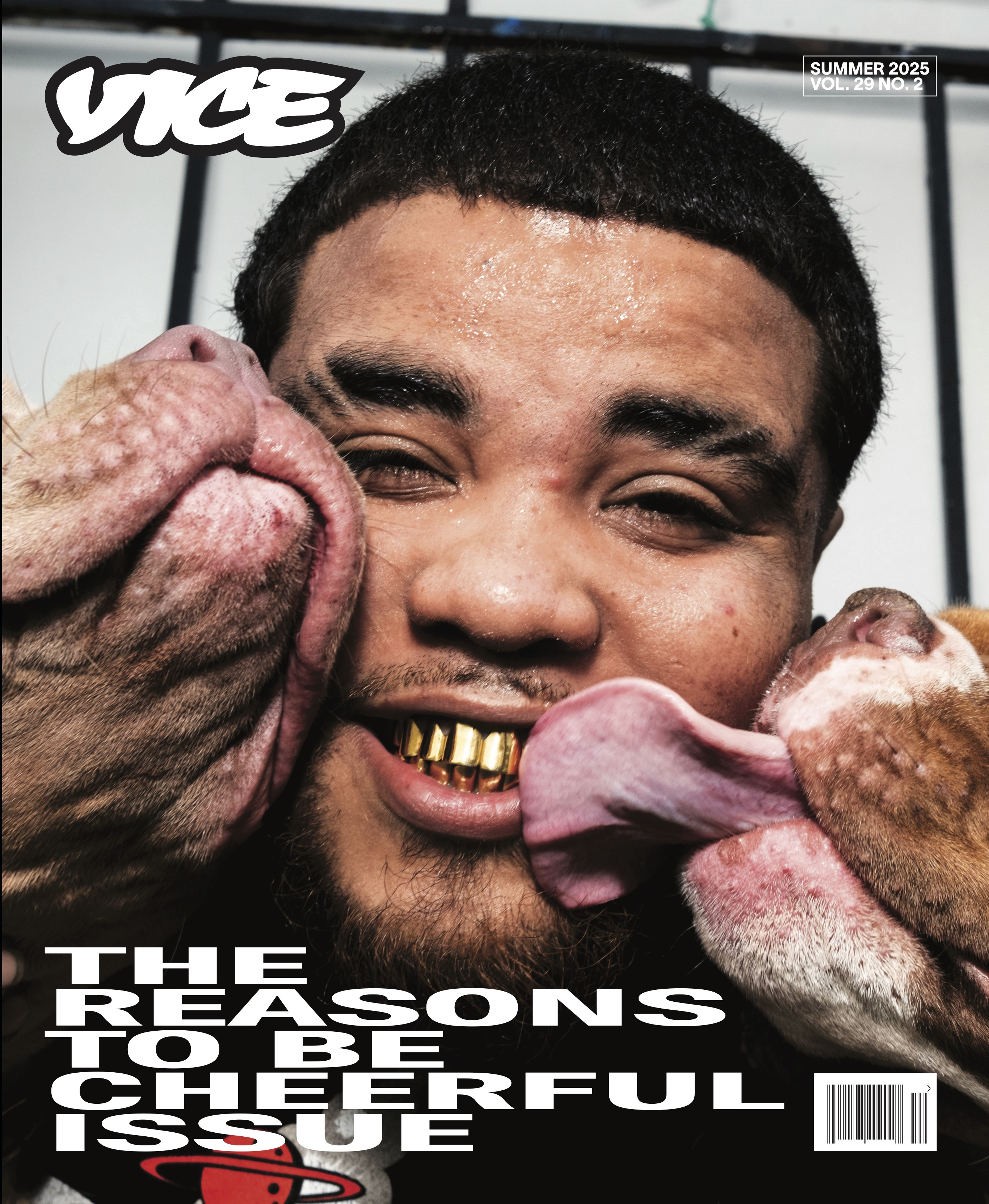VICE