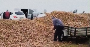 Farmer Loses 150 Tons of Potatoes After Viral Post Gets Out of Control
