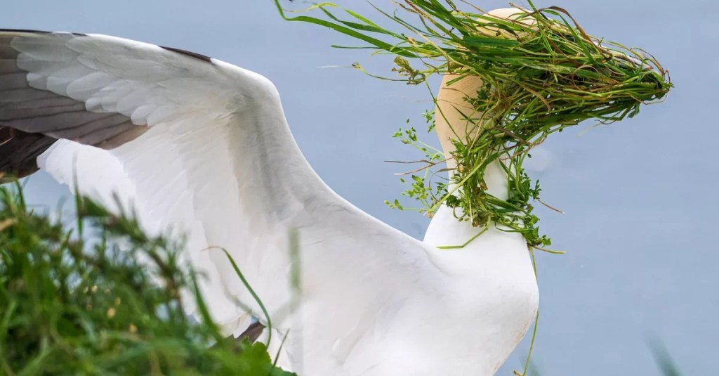 Meet the Winner of Nikon’s Annual Funny Animal Photo Contest