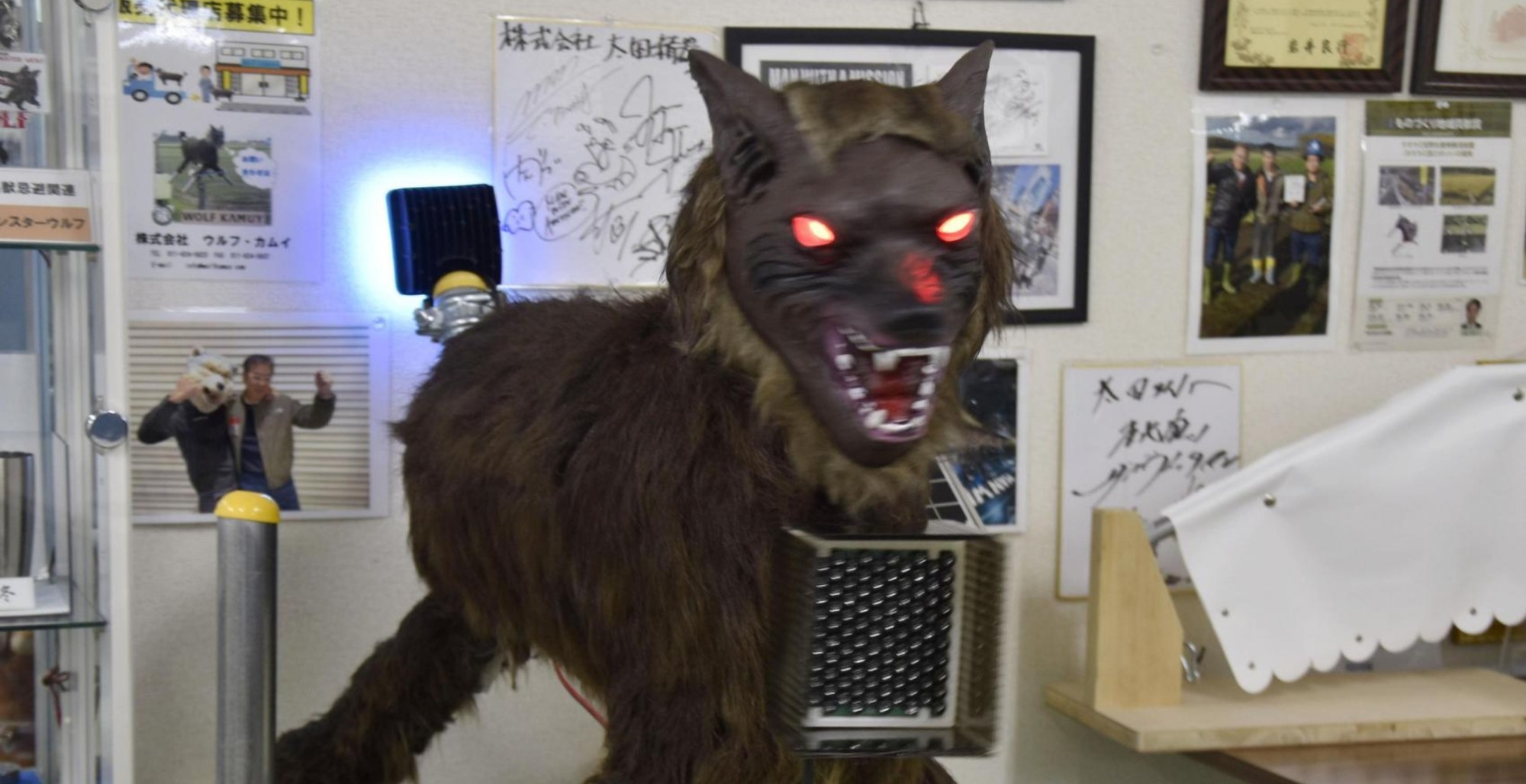 Hundreds of Robot Wolves Are Protecting Japan From Bear Attacks