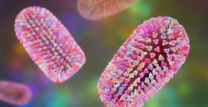 Rare Rabies Case Traced to Transplanted Kidney