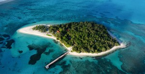 Tech Elites Are Desperately Trying To Build Their Own Nations