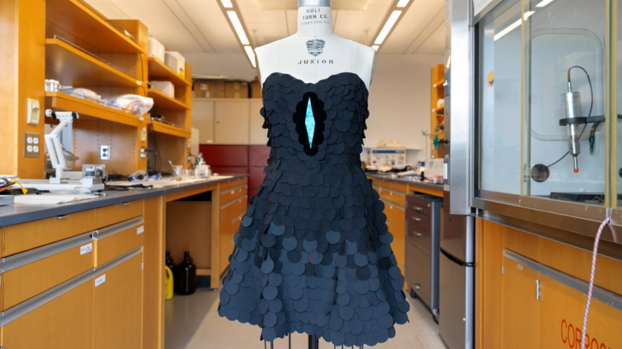 The researchers who created the extraordinarily dark fabric turned it into a black dress modeled after the magnificent riflebird.