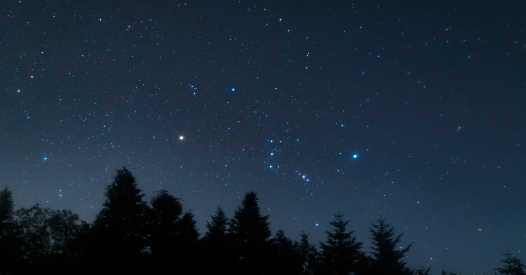 7 Constellations Even Beginners Can Find in the Winter Sky